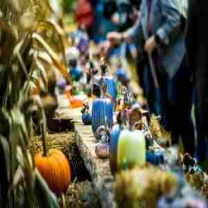 Jack Pine Glass Pumpkin Festival in Laurelville on 20 Sep