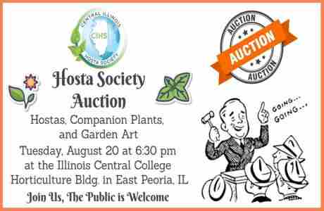 Central Illinois Hosta Society Auction in Illinois on 20 Aug