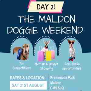 The Maldon Doggie Weekend - Day 2 31/8/24 in Maldon on 31 Aug