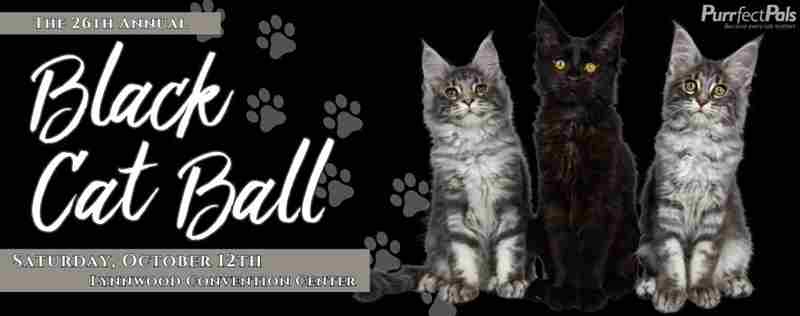 The Black Cat Ball Gala and Auction in Lynnwood on 12 Oct