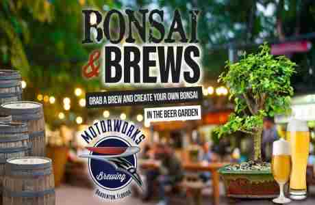 Bonsai and Brews at Motorworks Brewing | Bradenton in Bradenton on 10 Sep