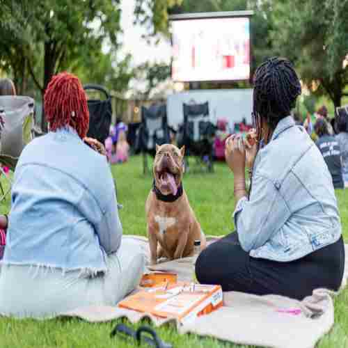 Movie in the Park: Ghostbusters Frozen Empire in Denton on 25 Oct