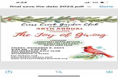 Joy of Giving by Cress Creek Garden Club in Bolingbrook on 08 November 2024