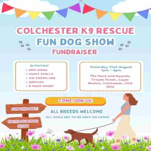 Fun dog show in Colchester on 31 Aug