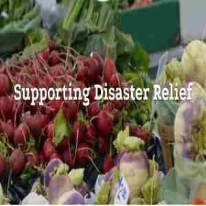 Disaster Relief Sale and Auction in Mountville on 7 Sep