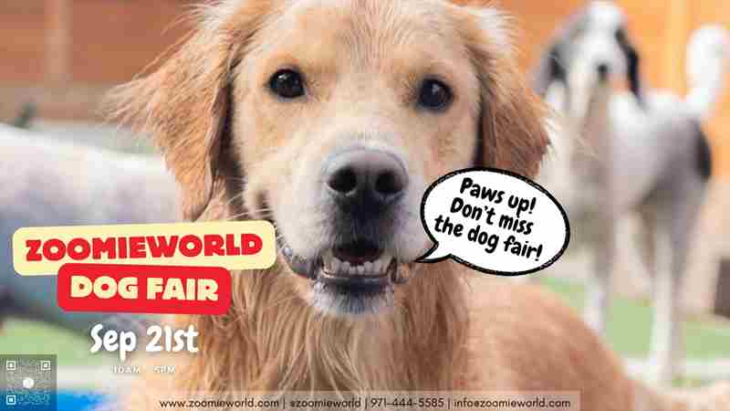 ZoomieWorld Dog Fair: Paws, Play, and Prizes - September 21, 2024 in Salem, OR in Salem on 21 September 2024