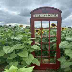 Fall Apple Days at Riamede Farm in Chester New Jersey in Chester on 14 Sep