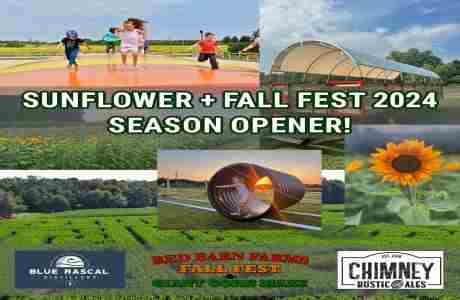 Red Barn Farm Sunflower + Fall Fest Opening Weekend in Hammonton on 31 Aug