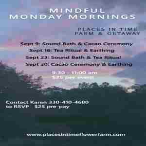 Mindful Monday Mornings in Seville on 9 Sep