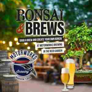 Bonsai and Brews at Motorworks Brewing | Bradenton in Bradenton on 8 Oct