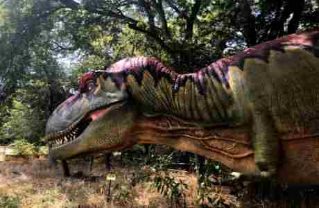 Jurassic Night Out in McKinney on 7 Sep