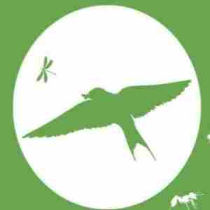 Migratory Bird Day @ Brandywine Zoo in Wilmington on 12 Oct