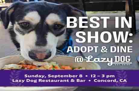 Best In Show: Adopt and Dine Fundraiser at Lazy Dog Concord Benefiting Joybound People and Pets in Concord on 8 Sep