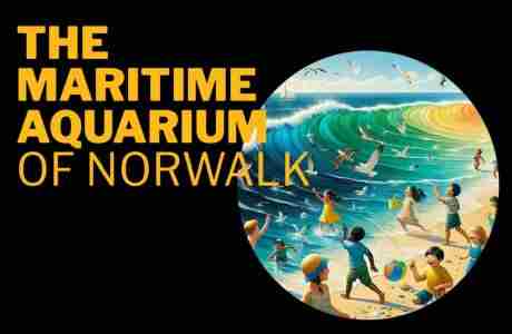 Orchestra Lumos - World Ocean Day at the Norwalk Aquarium June 8 in Norwalk on 8 Jun