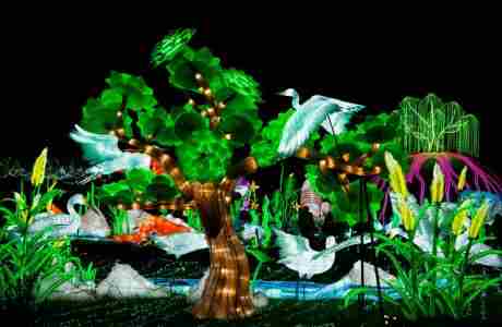 Tianyu Lights Festival in Phoenix on 25 Oct