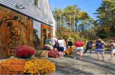 Summer Vineyard Tour & tasting with commemorative wine glass. Historic Ice District of Brookline NH in Brookline on 14 September 2024