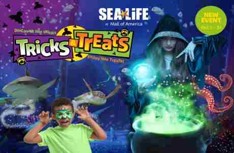 Tricks and Treats at SEA LIFE at Mall of America! in Bloomington on 1 Oct