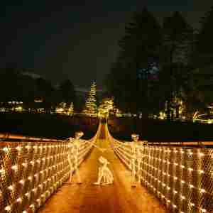 Canyon Frights at Capilano Suspension Bridge Park in North Vancouver on 11 Oct