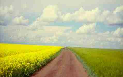 DATELINE UKRAINE: The Road Ahead in Yountville on 3 Oct