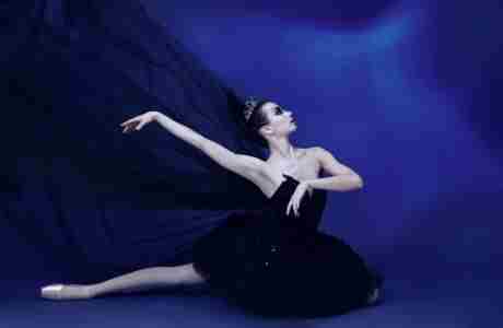 Swan Lake in Skokie, IL performed by The State Ballet Theatre of Ukraine in Skokie on 20 Nov