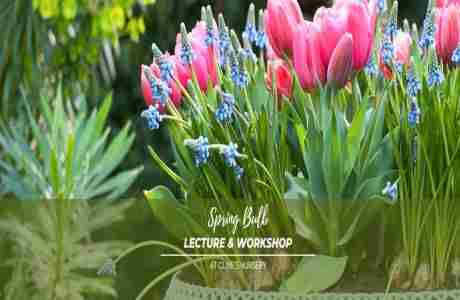 Spring Bulb Lecture and Planting Workshop in Shelby on 2 Nov