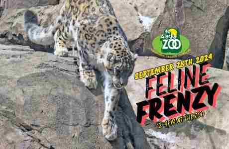 Feline Frenzy at the Alaska Zoo in Alaska on 28 September 2024