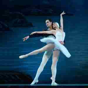 Swan Lake - Event by The State Ballet Theatre of Ukraine at Sarnia, ON in Sarnia on 25 November 2024