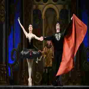 Swan Lake - Event by The State Ballet Theatre of Ukraine at Chathham Capitol Theatre in Chatham on 24 Nov