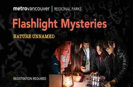 Flashlight Mysteries - Nature unnamed in Delta on 19 Oct