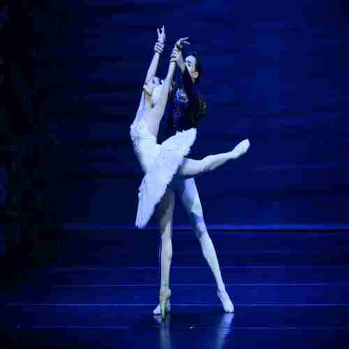 Swan Lake: Event by The State Ballet Theatre of Ukraine at Mobile, FL! in Mobile on 07 January 2025