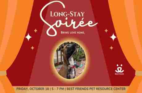 Best Friends Long-Stay Soiree Adoption Event in Bentonville on 18 Oct