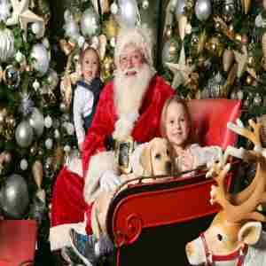 16th Annual Greenwich Reindeer Festival and Santa's Workshop presented by Jenny Allen at Compass in Greenwich on 29 Nov