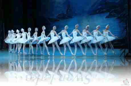 Swan Lake - Event by The State Ballet Theatre of Ukraine at Brantford, ON in Brampton on 8 Dec