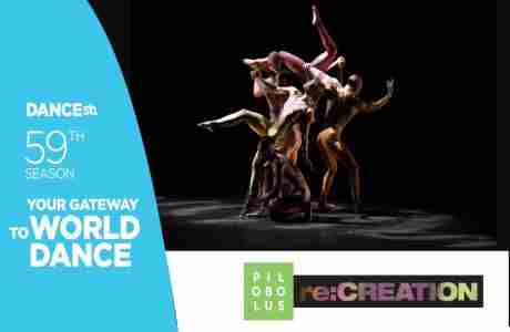 Pilobolus re:CREATION in Saint Louis on 9 Nov