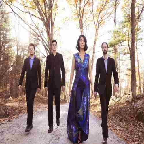 Newport Classical: Telegraph Quartet in Newport on 24 Jan