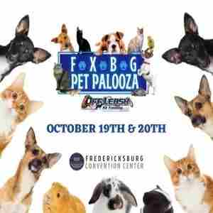 Pet Palooza in Fredericksburg on 19 October 2024