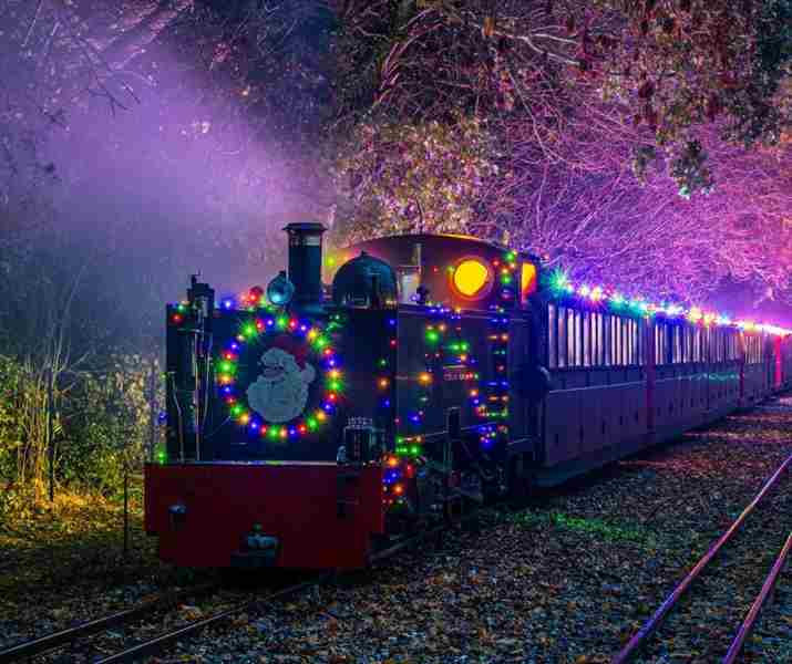 Noel Night Train in Norwich on 06 December 2024