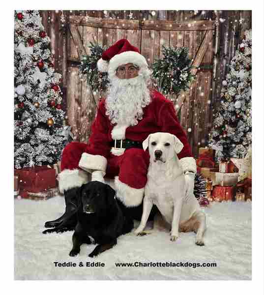 Santa Paws Photo Fundraiser in Pineville on 16 Nov