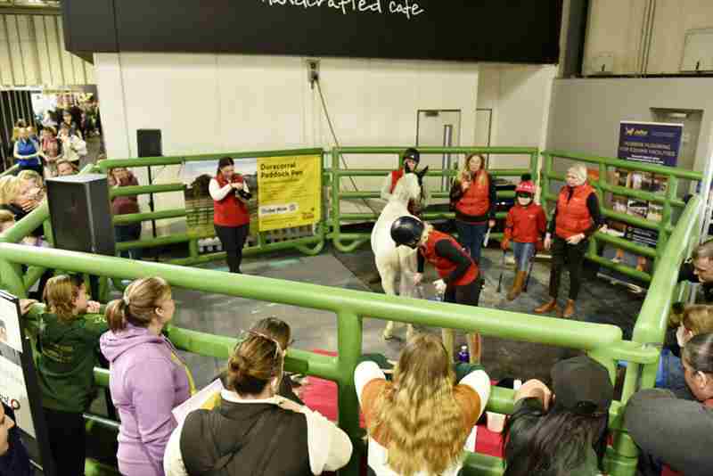 The National Equine Show in Birmingham on 1 Mar