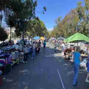 Petaluma Vintage Market - Halloween Edition! in Petaluma on 27 Oct