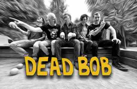 Dead Bob Concert in Creighton on 29 Nov