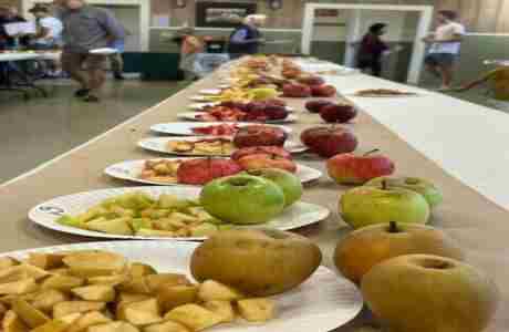 Autumn Apple Tasting in Sebastopol on 20 October 2024