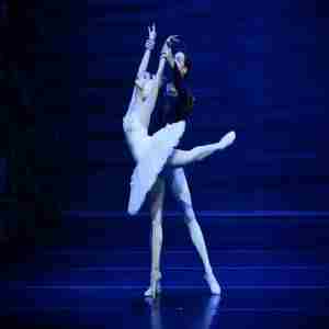 Swan Lake: The State Ballet Theatre of Ukraine in Shreveport, LA! in Shreveport on 28 Mar