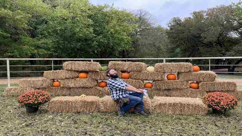 Fall-Themed Alpaca Open Farm Days! in Maypearl on 26 Oct