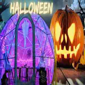 Halloween Sweet Moonlight Wine Cave Igloo Experience Averill House Vineyard, Brookline, NH October in Brookline on 30 Oct