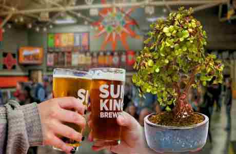 Bonsai and Brews at Sun King Brewing | Sarasota On 05 December 2024 in Sarasota on 5 Dec