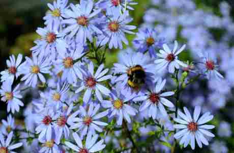 Trade Nursery Open Day in Oxfordshire on 2 Nov