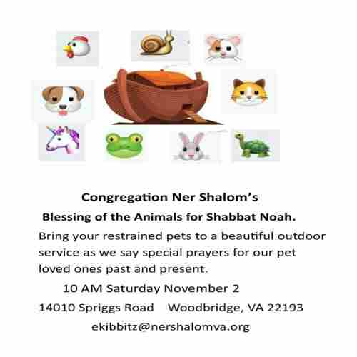 Blessing of our animals for Shabbat Noah in Dale City on 2 Nov