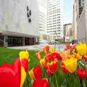 34th Annual Internal Medicine Board Review 2025 in Rochester on 2 Jun