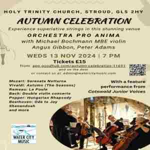 Autumn Celebration in Stroud on 13 Nov